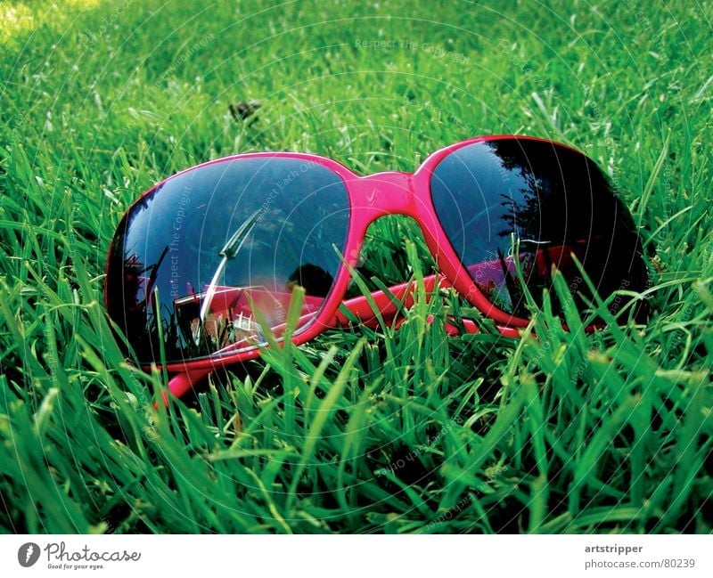 redrosefornose Sonnenbad Sonnenbrille Sommer Langeweile Freizeit & Hobby Wiese Durchblick Gras Brille genießen Ferien & Urlaub & Reisen Erholung Grünfläche