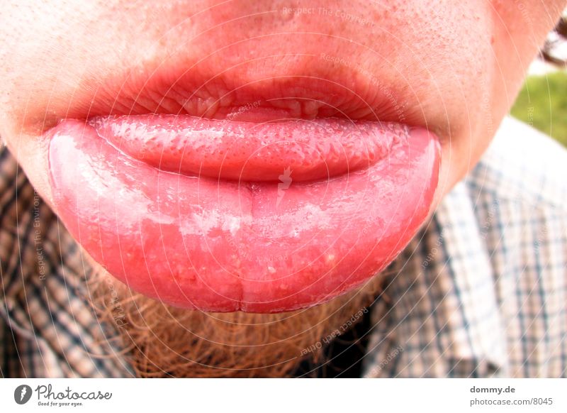 ne´dicke Lippe riskieren rot Mann Lippen Zunge klaus