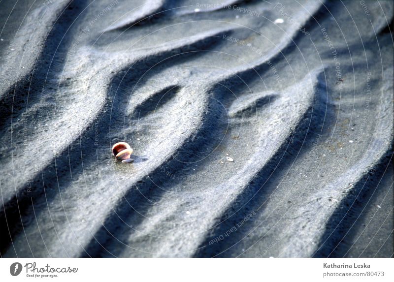 farewell! Gezeiten Meeresboden Strand Ebbe Muschel Neuseeland Niedrigwasser Australien Südinsel Sand Flut Küste auf grund treiben Idylle Farewell Spit pazific