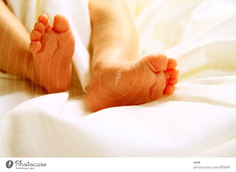 kleine füsse 10 Zehen Kind Kleinkind Baby winzig Federbett ruhen Erholung schlafen gemütlich schön süß niedlich Unbekümmertheit Unbeschwertheit beweglich