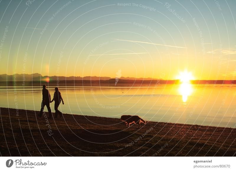 Uferspaziergang See Wolken Sonnenuntergang Ferne Licht Horizont Spaziergang Hund Familie & Verwandtschaft Starnberger See Himmel Wasser Abend Natur