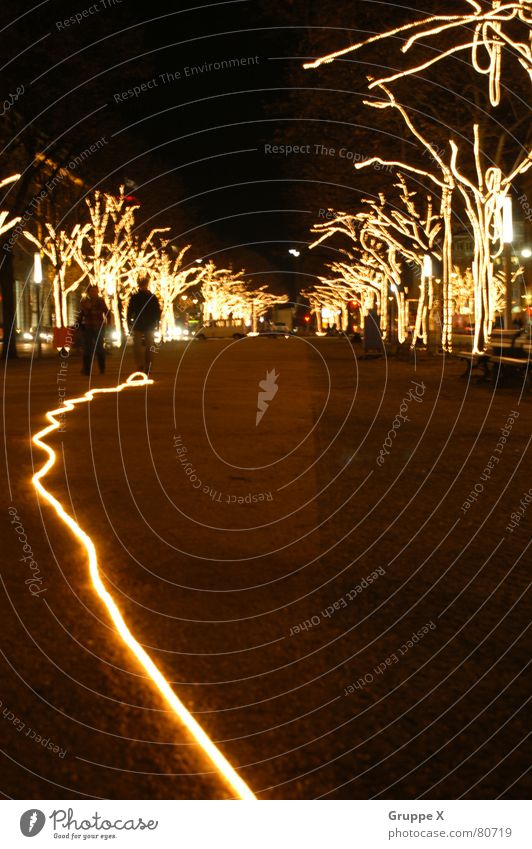Unter den Linden Berlin-Mitte Lichterkette dunkel Nacht glänzend Glühbirne Lampe Strahlung Weihnachten & Advent Verkehrswege Feiertag Garten Park