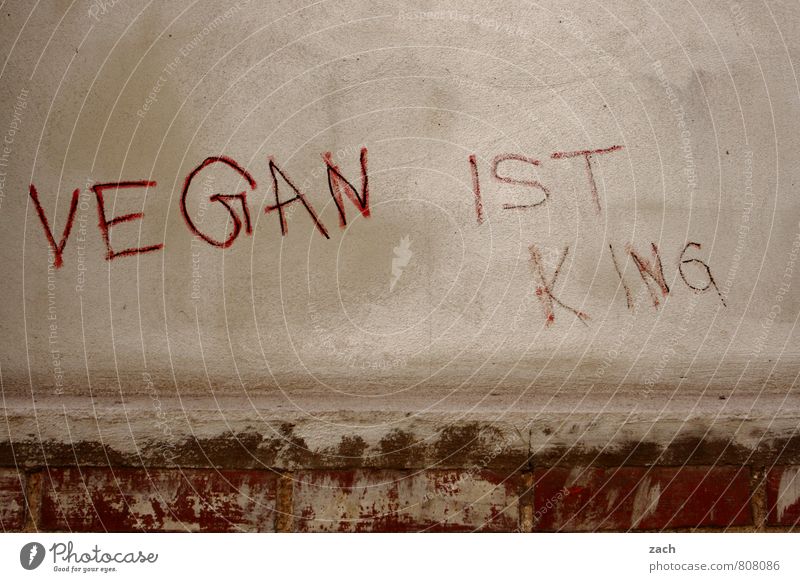 Fruchtfleischfresser Ernährung Vegetarische Ernährung Vegane Ernährung Mauer Wand Fassade Zeichen Schriftzeichen Graffiti Kommunizieren Gesundheit grau