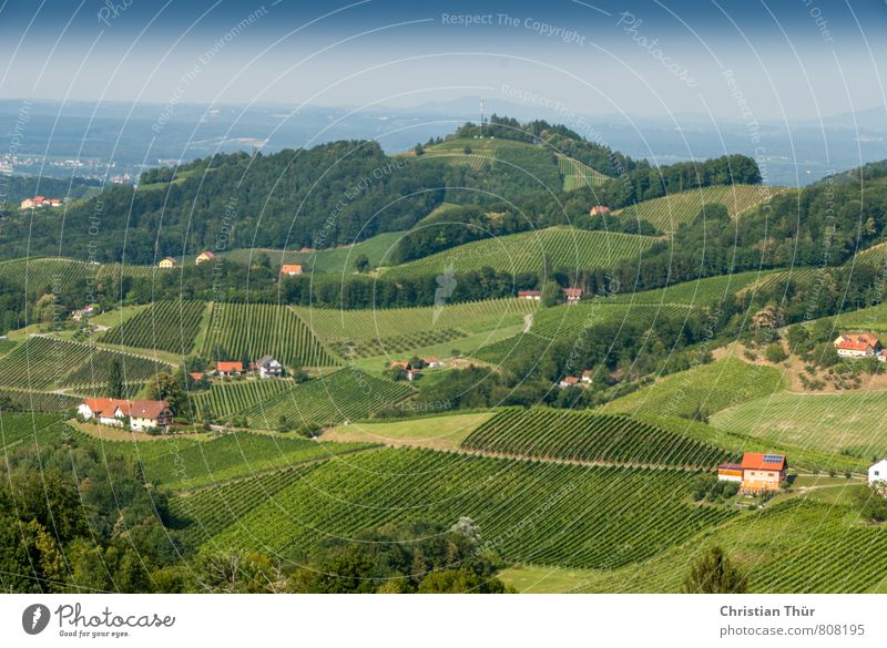 Panoramablick Weinhügel Wellness harmonisch Wohlgefühl Erholung ruhig Meditation Ferien & Urlaub & Reisen Tourismus Ausflug Umwelt Natur Landschaft