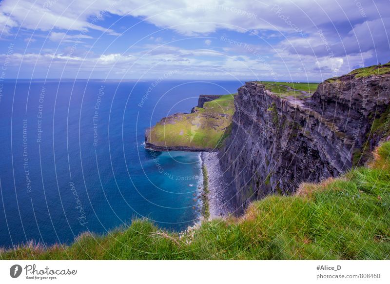 Cliffs of Moher Natur Landschaft Wasser Wolkenloser Himmel Horizont Gras Küste Republik Irland Menschenleer Sehenswürdigkeit Wahrzeichen blau grün türkis