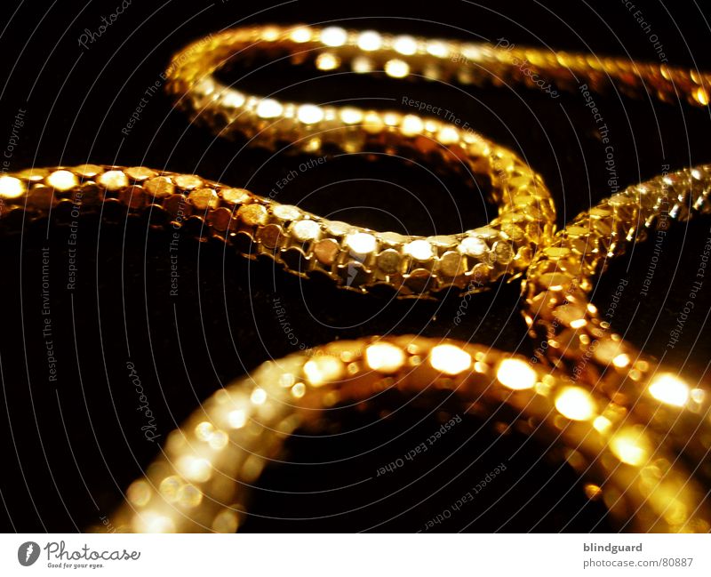 Golden Snake Juwelier Wert Kostbarkeit Schmuck fein filigran glänzend teuer Halskette Dieb Einbruch Kunsthandwerk Makroaufnahme Unschärfe Reichtum Qualität gold