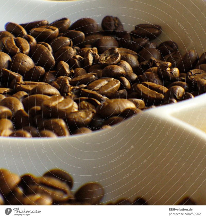 kalter kaffee 2 Bohnen braun Physik lecker wach Koffein Kaffeebohnen Café geröstet dosierung Schalen & Schüsseln Wärme käffchen