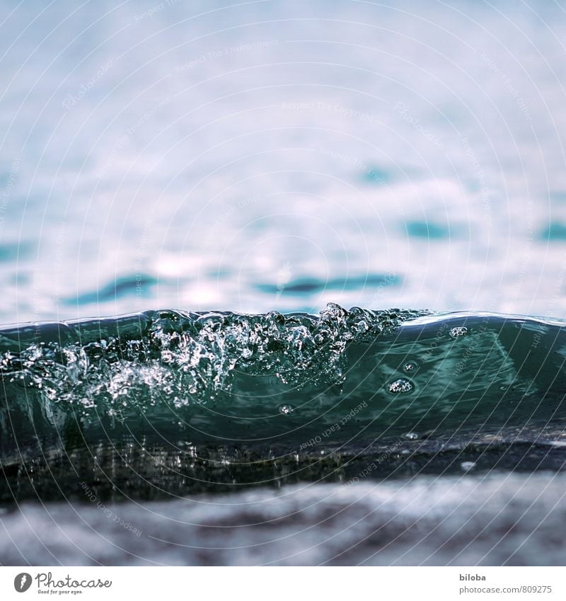 Welle im Gegenlicht bricht am seichten Seeufer Wasser Wellenkamm Wassertropfen Natur Urelemente blau weiß Quelle Trinkwasser Küste Farbfoto Außenaufnahme