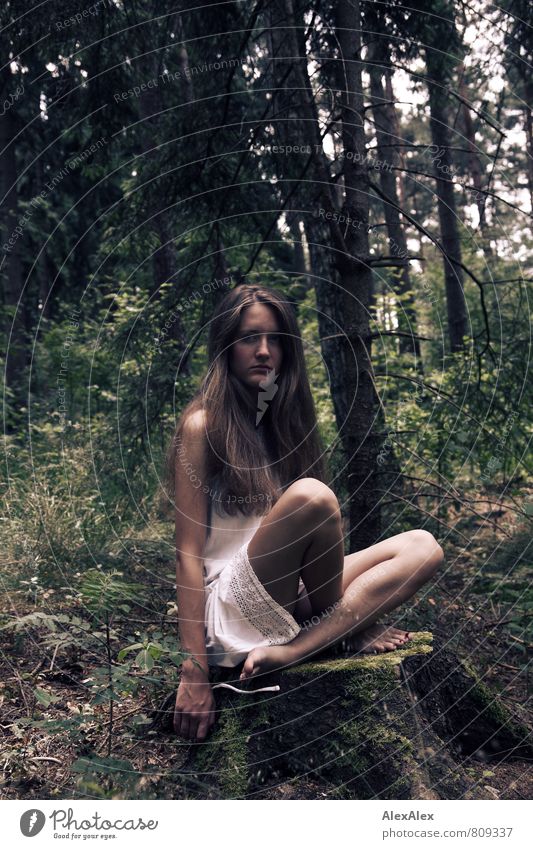 Junge, schlanke Frau mit langen, brünetten Haaren in weißem Kleid sitzt im Schneidersitz auf einem Baumstumpf in einem Wald Abenteuer Junge Frau Jugendliche
