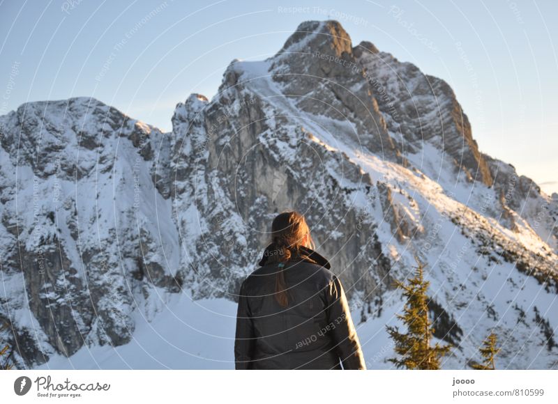 Respekt Ausflug Winter Schnee Winterurlaub Berge u. Gebirge wandern feminin Junge Frau Jugendliche 1 Mensch Landschaft Felsen Alpen Gipfel Schneebedeckte Gipfel