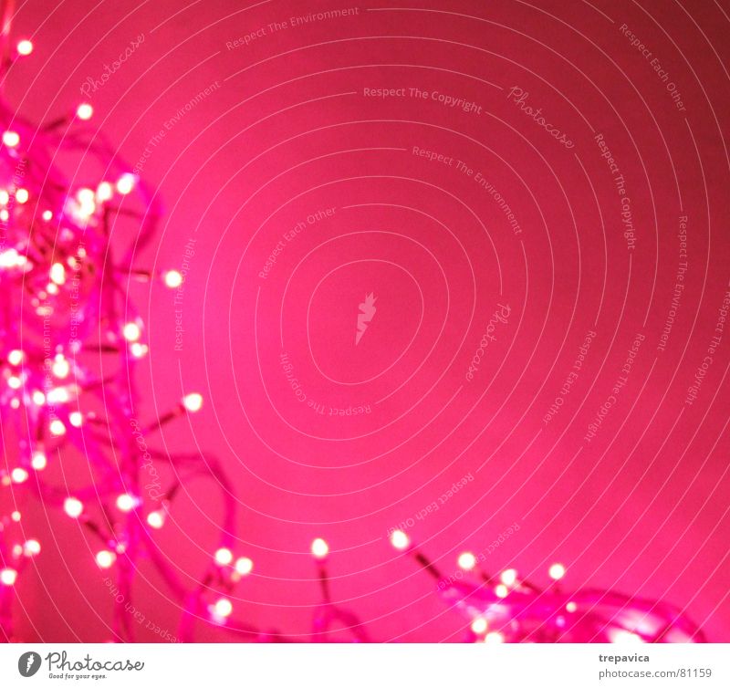 pink I Licht Lichterkette Unschärfe festlich Hintergrundbild rot Wand Girlande magenta Glühbirne Lichtpunkt rosa Farbe Beleuchtung glänzend Lampe