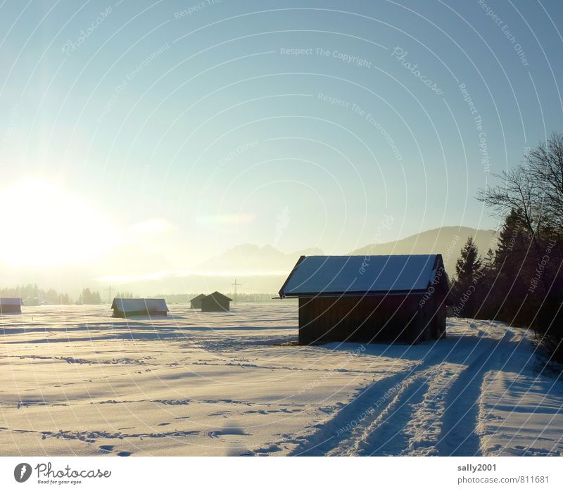 Wintersonne Natur Wolkenloser Himmel Sonne Sonnenlicht Schönes Wetter Schnee Baum Wiese Feld Alpen Hütte Scheune kalt weiß Gelassenheit ruhig stagnierend