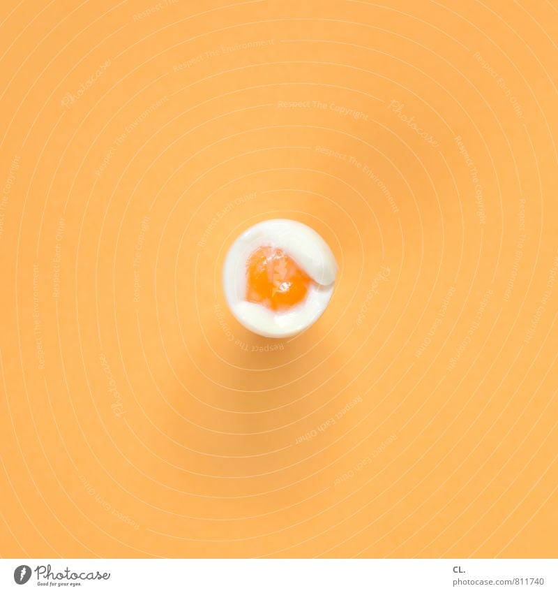 ei Lebensmittel Ei Ernährung Frühstück Essen ästhetisch gelb orange Design Farbe Inspiration Kreativität Eigelb Farbfoto Innenaufnahme Studioaufnahme