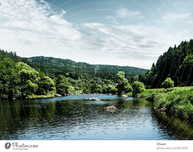 Oberpfalz Umwelt Natur Landschaft Himmel Sommer Schönes Wetter Baum Sträucher Flussufer ästhetisch frisch nachhaltig natürlich blau grün ruhig Idylle