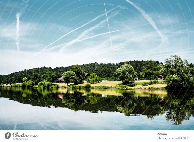wie gemalt! Sommer Umwelt Natur Landschaft Himmel Wolken Schönes Wetter Baum Sträucher Seeufer Flussufer sportlich frisch nachhaltig natürlich Sauberkeit blau