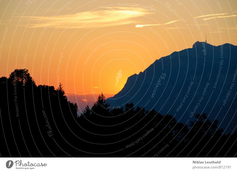 Bergleuchten Umwelt Natur Landschaft Himmel Wolken Sonne Sonnenaufgang Sonnenuntergang Sonnenlicht Sommer Wetter Schönes Wetter Baum Alpen Berge u. Gebirge