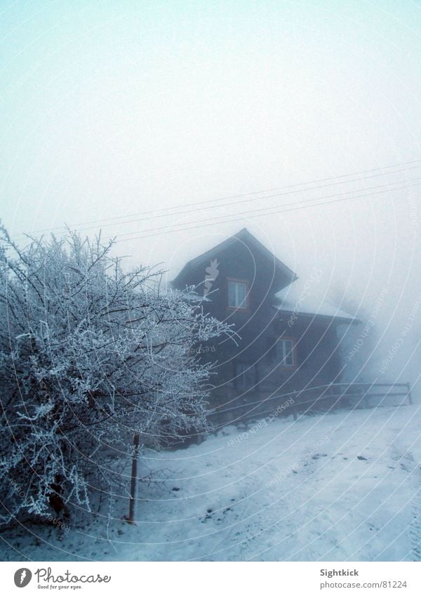 Der weiße Weg 2 Nebel Wolken Schweiz Haus Sträucher Zaun Fenster Dach kalt Winter Hecke Eis Landhaus Schleier Nebelschleier Schnee snow helvetia Gebäude Wohnung