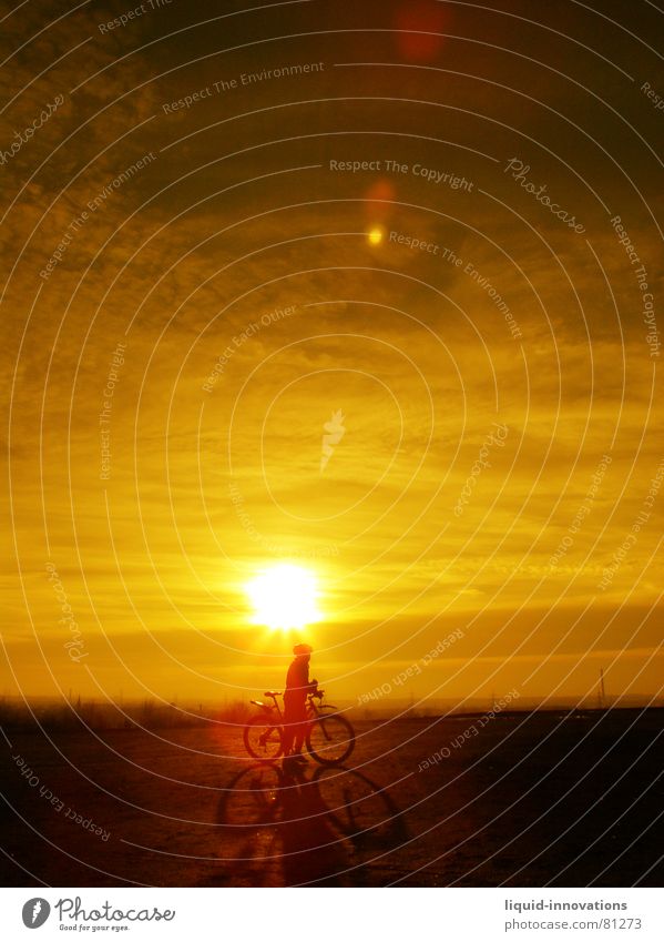 Sunny Biker Fahrradfahren Sonnenuntergang Wolken Horizont Himmel Himmelskörper & Weltall Abenddämmerung