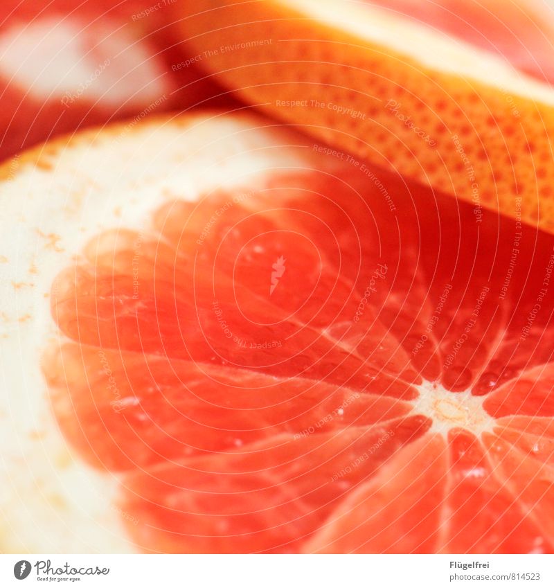 Grapefruit Frucht sauer Sommer saftig orange Fruchtfleisch Gesundheit Ernährung Hülle lecker Farbfoto Schwache Tiefenschärfe