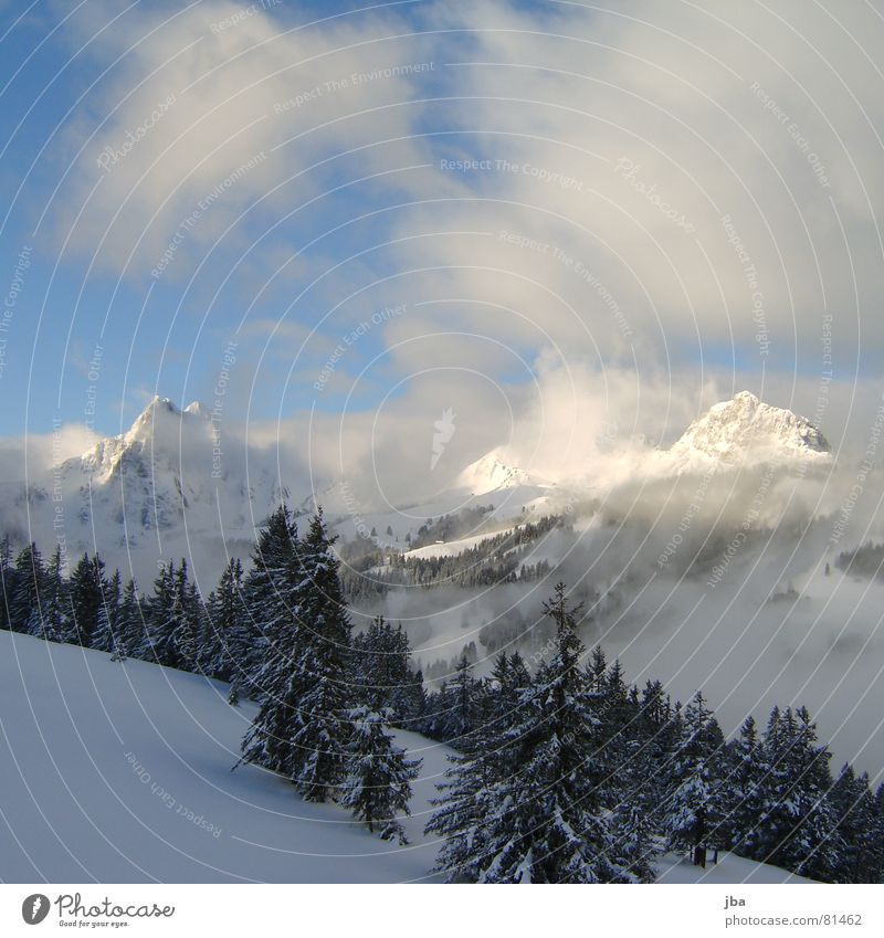 da hatte es noch Schnee Pulverschnee Nadelwald Neuschnee Wald Tanne Wolken Nebel Schneeberg Morgennebel Bergkette Berge u. Gebirge verhängt Alpen spitzig Spitze