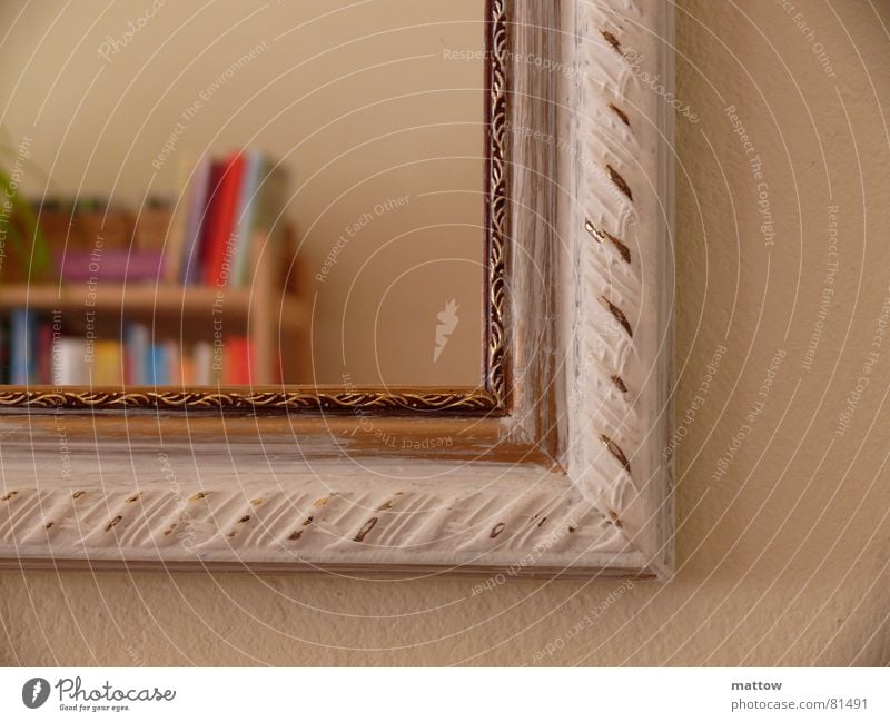 Bild im Bild Bücherregal Bilderrahmen Spiegel Buch Spiegelbild Regal Haushalt Rahmen umranden Selbstportrait einfassen