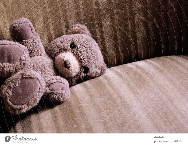 Der Teddy Spielzeug Sessel Fell Stoff beige Teddybär Einsamkeit poetisch Bär liegen alt Traurigkeit vergessen Hilfesuchend Hilfsbedürftig einzeln kuschlig weich
