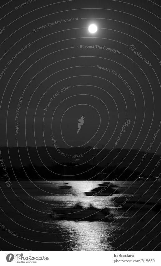 Alb|traum bei Vollmond Mensch Natur Luft Wasser Nachthimmel Mond See Bodensee Wasserfahrzeug fahren dunkel gruselig Gefühle Stimmung träumen Bewegung bizarr