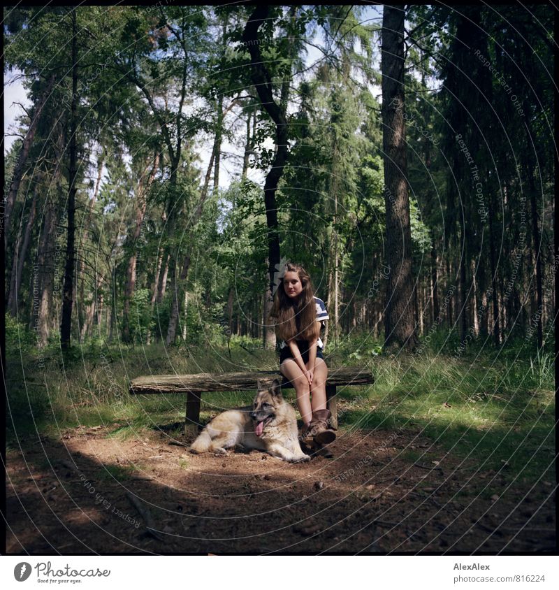 Waldspaziergang mit Hund Ausflug Junge Frau Jugendliche 18-30 Jahre Erwachsene Natur Landschaft Schönes Wetter Baum Waldlichtung T-Shirt Hose Stiefel brünett