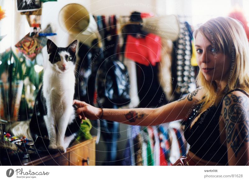 katzen Katze Frau Kleid schön Licht fixieren Dame aufregend Bekleidung attraktiv Punk Hauskatze Stadtbewohner blond Tattoo Junge Frau Originalität Tracht