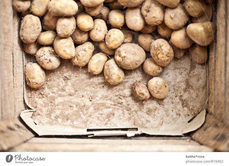 kartoffelig . Kartoffeln Kasten Holz frisch Gesundheit natürlich braun gold erdig regional Ernährung Farbfoto Gedeckte Farben Innenaufnahme Detailaufnahme