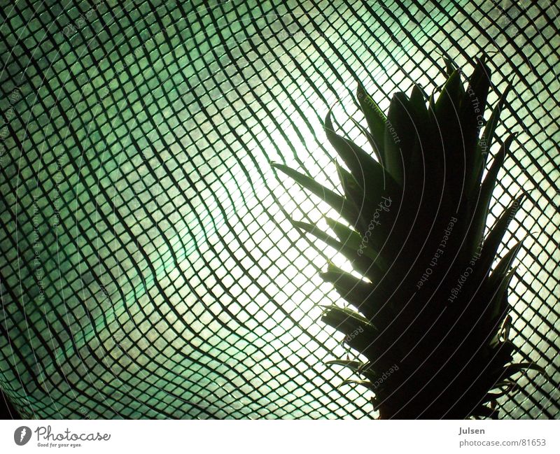Andasnas grün Abdeckung Muster Licht Haarschopf Raster Frucht Farbe Ananas Netz Lichterscheinung kariert