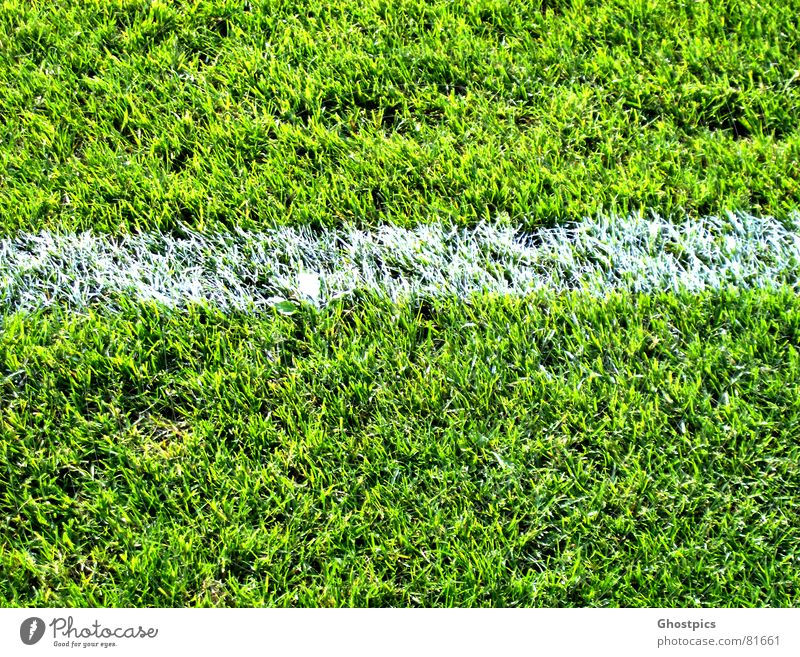 White-Stripe on green Freizeit & Hobby Spielen Fussball Fußballplatz Sommer Sport Sportstätten Stadion Pflanze Gras Garten Park Wiese Feld Linie dreckig