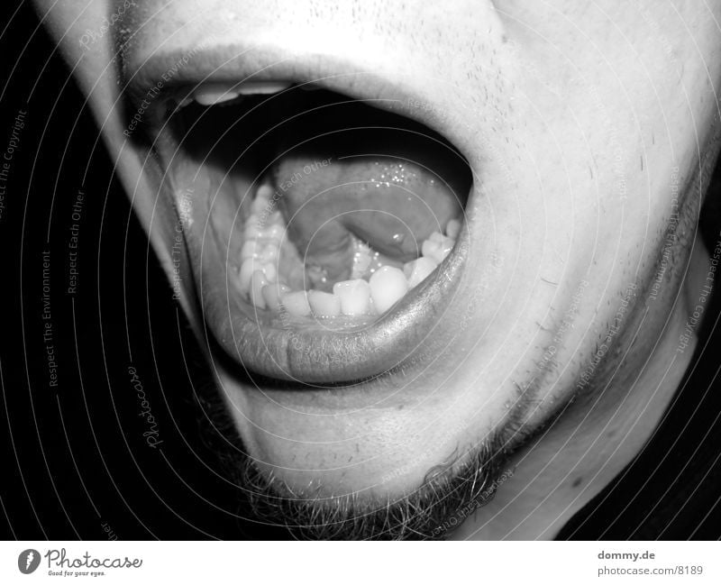 Der Schrei schreien schwarz weiß Mann Zunge Angst Schwarzweißfoto Zähne