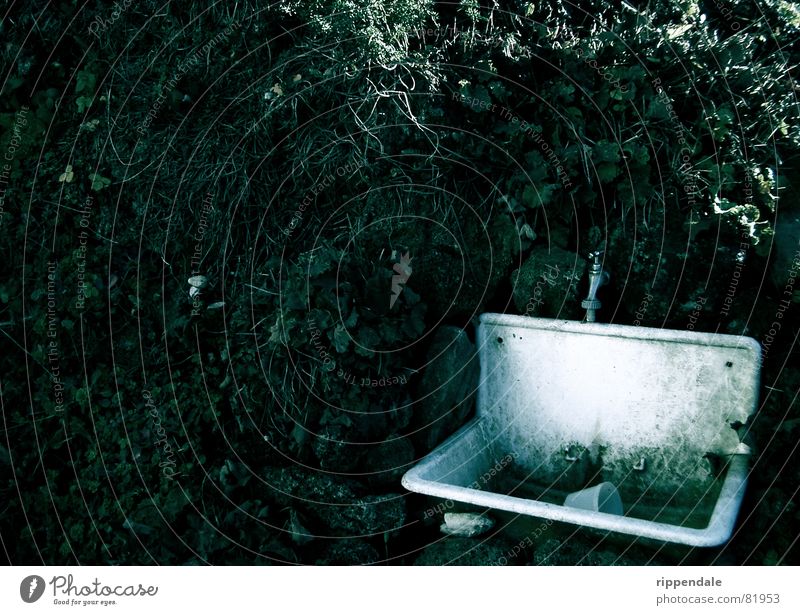 verfallenes waschbecken Kletterpflanzen Waschbecken Mauer Wasserhahn kalt Herbst alpinum