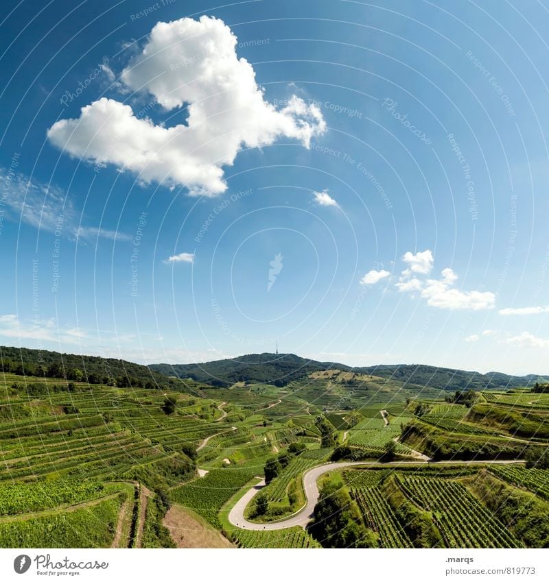 U Ausflug Umwelt Natur Landschaft Himmel Wolken Horizont Sommer Herbst Schönes Wetter Weinberg Weinbau Weingut Verkehrswege Straße Kurve Erholung schön Idylle