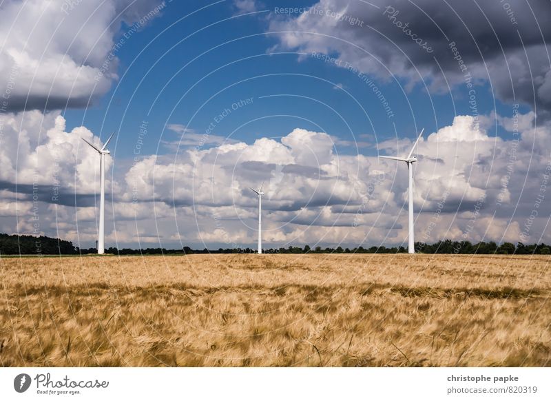 Die Ruhe vor dem Sturm Landwirtschaft Forstwirtschaft Energiewirtschaft Erneuerbare Energie Windkraftanlage Umwelt Natur Landschaft Wolken Sommer Herbst Klima