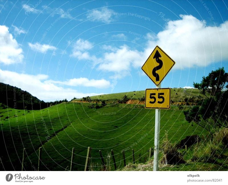 roadtrip Kurve grün Geschwindigkeit Wolken Gras Hügel gelb Zaun Schaf Neuseeland Wiese Geschwindigkeitsbegrenzung Landstraße Straße Landschaft Himmel blau Sonne