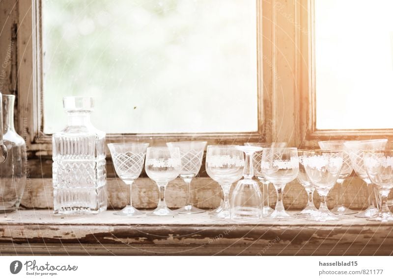 Prost Getränk Alkohol Spirituosen Geschirr Glas Sektglas Lifestyle Reichtum Freude Glück Wellness Zufriedenheit Erholung ruhig Sommer Häusliches Leben