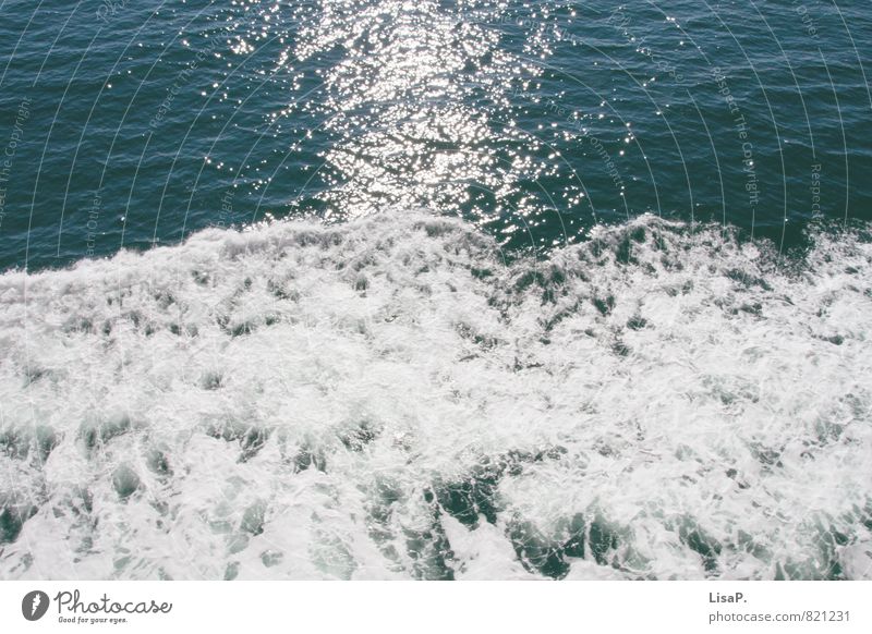 Gischt Sonne Sonnenlicht Wellen Nordsee Ostsee Meer Wasser Schwimmen & Baden Blick glänzend Unendlichkeit maritim nass blau weiß ruhig Fernweh Farbe Kraft
