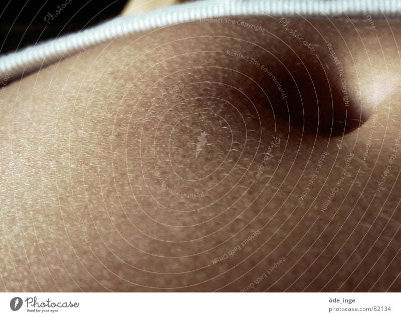 musculus rectus abdominis Bauch Bauchnabel Haut Hosenbund Magen feminin Härchen Unterleib Gänsehaut Gesundheit nackt Anatomie Magen und Darm betreffend