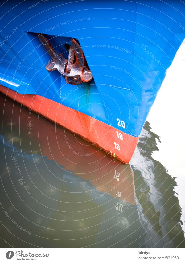 Quallen vorm Bug Wasser Nordsee Ostsee Meer Schifffahrt Wasserfahrzeug Anker Schiffsbug Schwarm ästhetisch authentisch maritim Originalität positiv blau rot