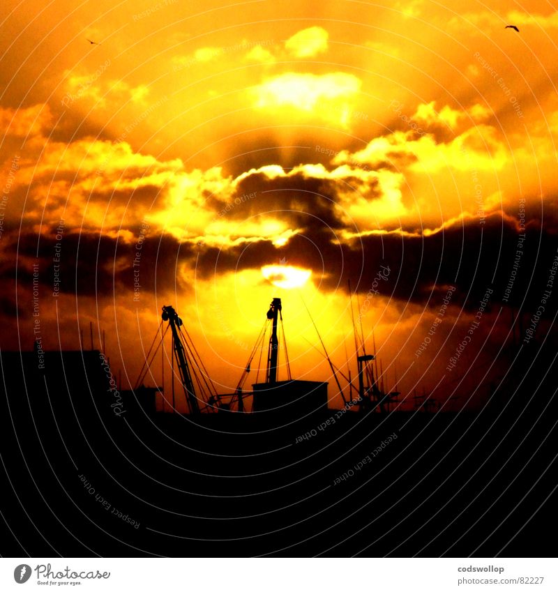 trawlers Trawler Antenne Radarstation Sonnenuntergang gelb schwarz Sonnenstrahlen Strand Küste Himmelskörper & Weltall schön fischdampfer aerial sunrays fish