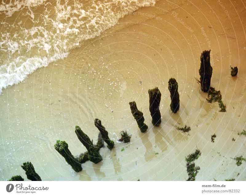 küste 1 Küste Ebbe Wellen Strand Wattenmeer Meer beige Sandbank Niedrigwasser Verlauf Algen morsch verrotten Befestigung Sturmschaden Flut Vergänglichkeit