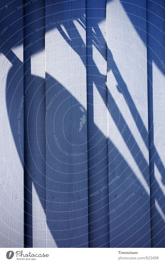 Schattenmenge. Dänemark Haus Ferienhaus Mauer Wand Strukturen & Formen Holz Linie ästhetisch einfach blau schwarz Gefühle Farbfoto Außenaufnahme Menschenleer