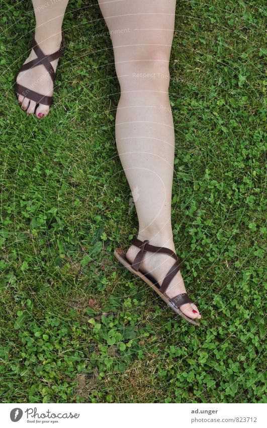 Der Römer Lifestyle elegant Mensch feminin Beine Fuß 1 18-30 Jahre Jugendliche Erwachsene liegen schlafen ruhig Erholung grüne Wiese Sandale Sommer Frühling
