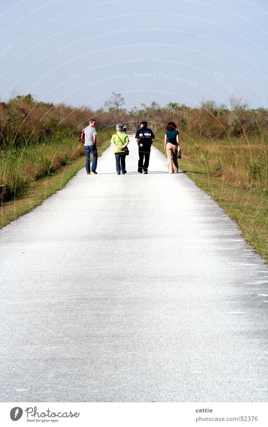 It's a long way to .... Krokodil Ausdauer unerschütterlich sprechen Mensch Freundschaft Familie & Verwandtschaft Spaziergang ruhig Einsamkeit Everglades NP heiß