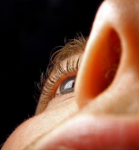 Nasenauge Nasenloch Wange nah Makroaufnahme Nahaufnahme Winper Auge Lippen Gesicht Wimpern