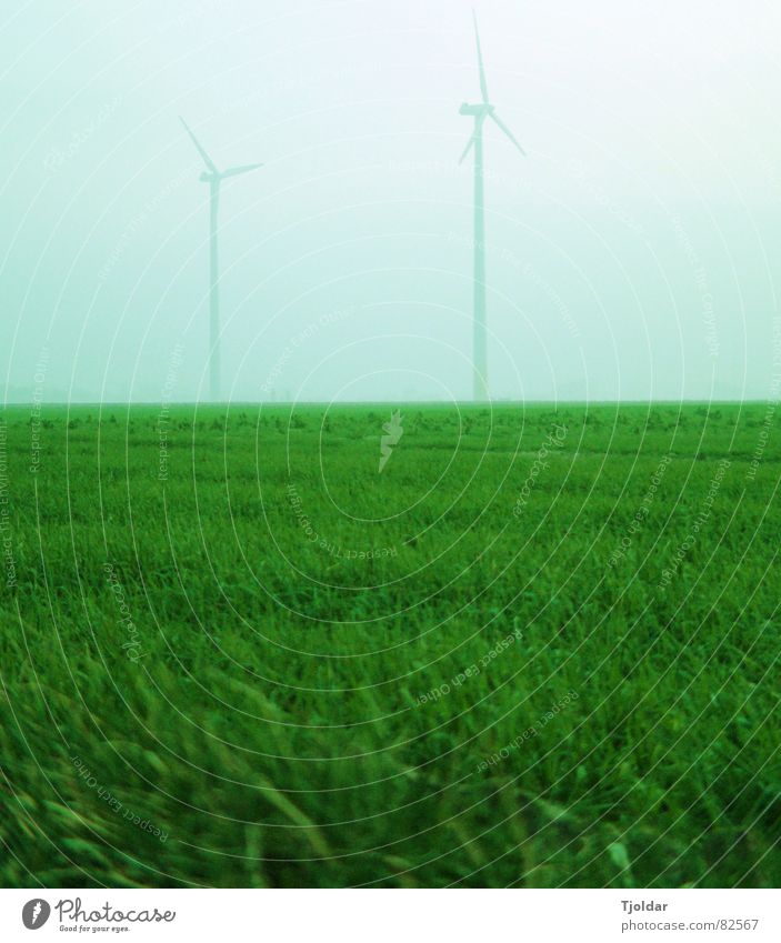 Grüner Strom Winter Energiewirtschaft Technik & Technologie Windkraftanlage Himmel Nebel Wiese Feld kalt blau grau grün Krefeld Hüls Elektrizität