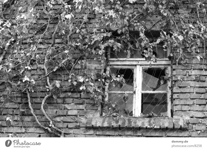 Früher... kaputt Fenster Gebäude schwarz weiß Architektur alt schwerben Schwarzweißfoto