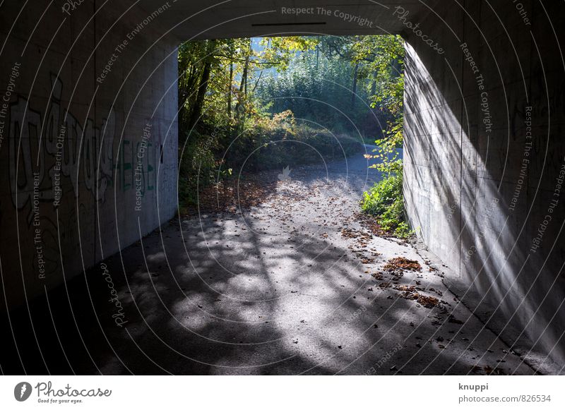...am Ende des Tunnels Kunst Künstler Kunstwerk Graffiti Sommer Wildpflanze Park Wald Hügel Coolness frei trendy einzigartig modern Stadt gold grau grün schwarz